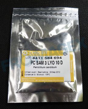 I201CDL0789_1 .jpg